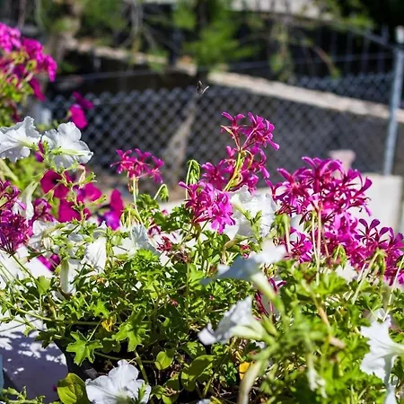 With Parking Space Zaton, Zadar - 15000 *