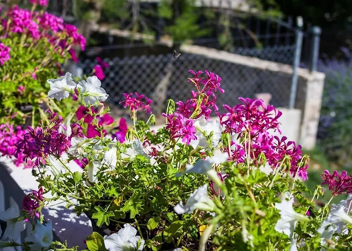 With Parking Space Zaton, Zadar - 15000 *